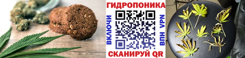 Купить закладки  Полысаево  Cannafood конопля 