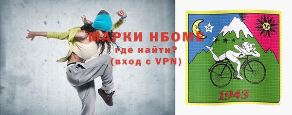 стаф Верея