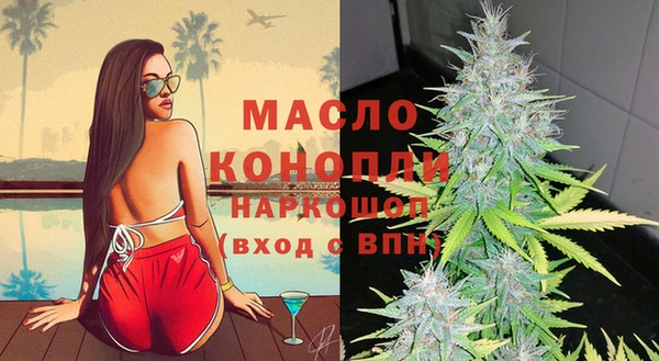 стаф Верея