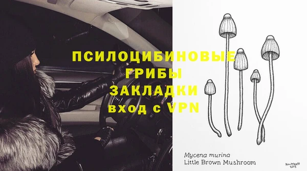 трава Верхний Тагил