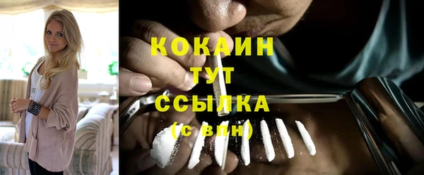 стаф Верея