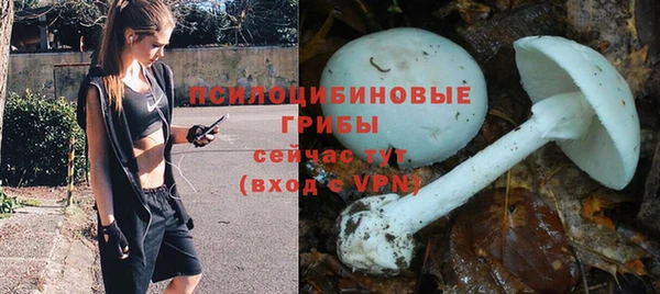 стаф Верея