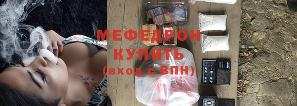 стаф Верея
