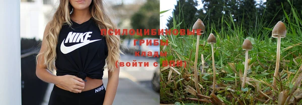 трава Верхний Тагил